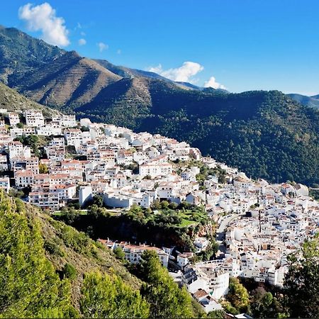 Duplex Mar Y Montana Daire Ojén Dış mekan fotoğraf